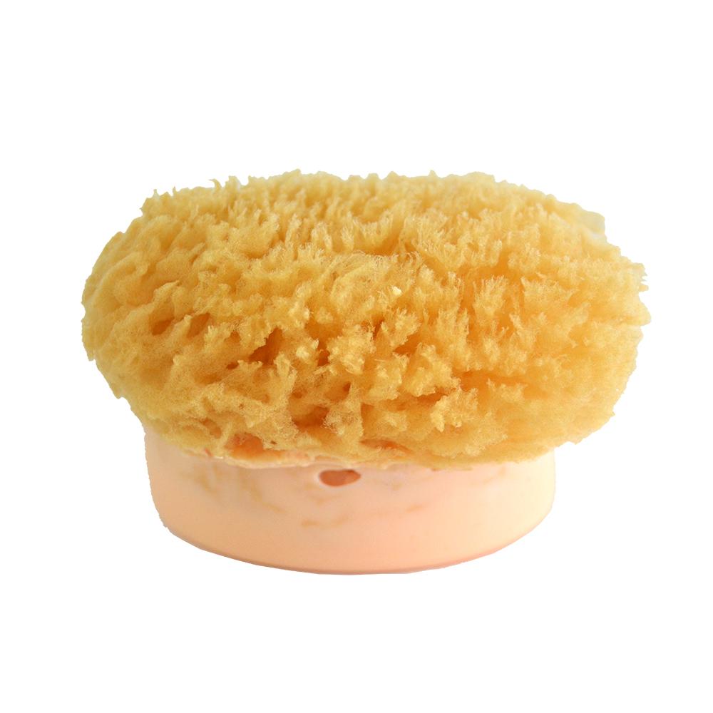 Sea Sponge Spotlight - Soap Queen